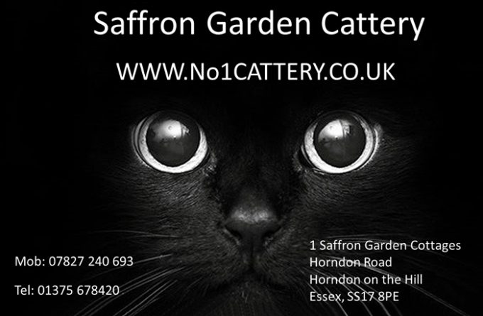 Saffron Garden Cattery