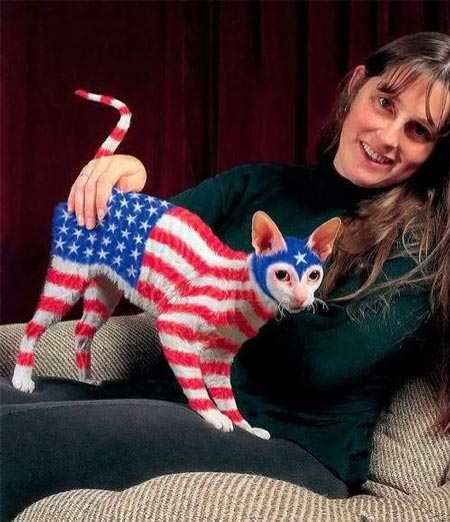 dyed-fur Americans and their pets