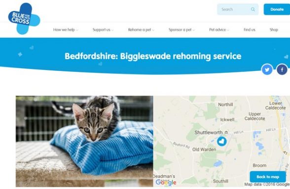 Blue Cross Rehoming Service - Old Warden