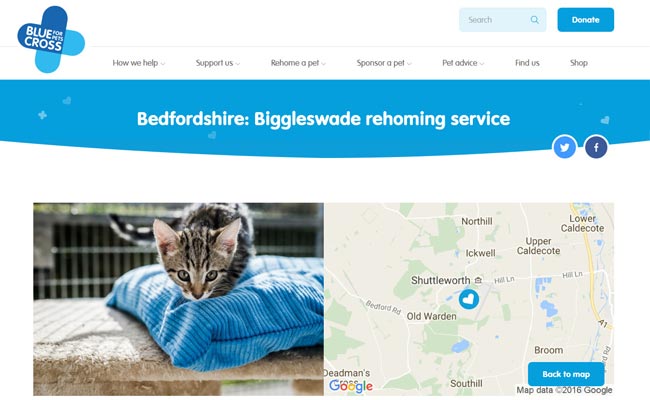 Blue Cross Rehoming Service - Old Warden