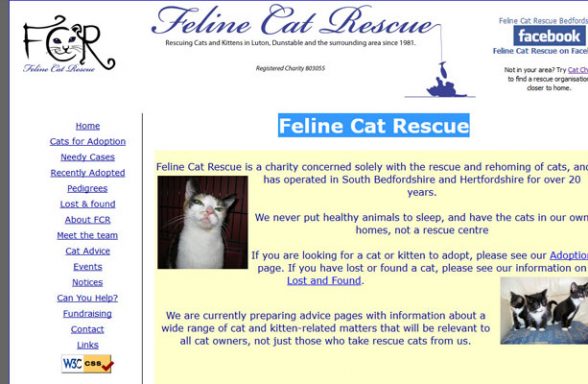 Feline Cat Rescue - Luton