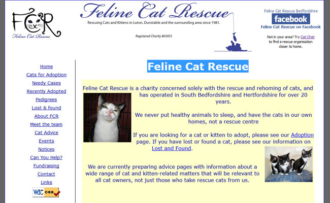 Feline Cat Rescue - Luton