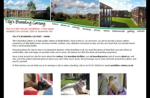 Tilly's Boarding Cattery