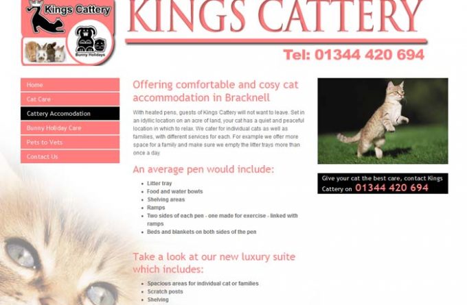 Kings Cattery