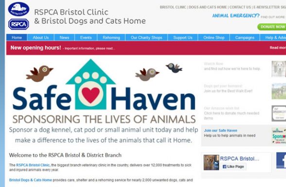 Bristol Dogs and Cats Home - Bristol