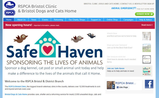 Bristol Dogs and Cats Home - Bristol