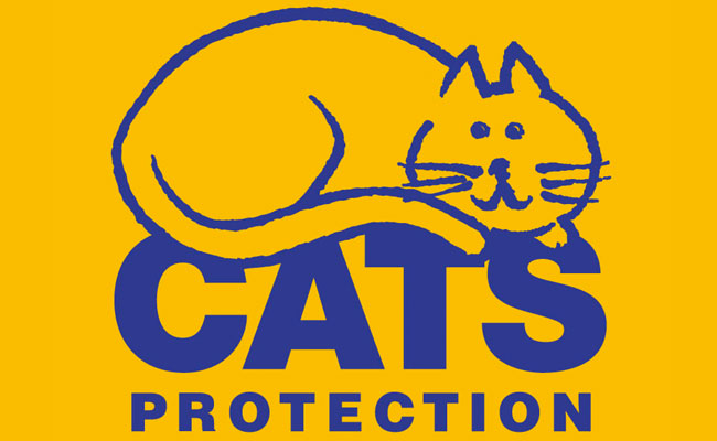 Cats Protection - Bracknell