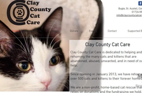 Clay County Cat Care - St. Austell