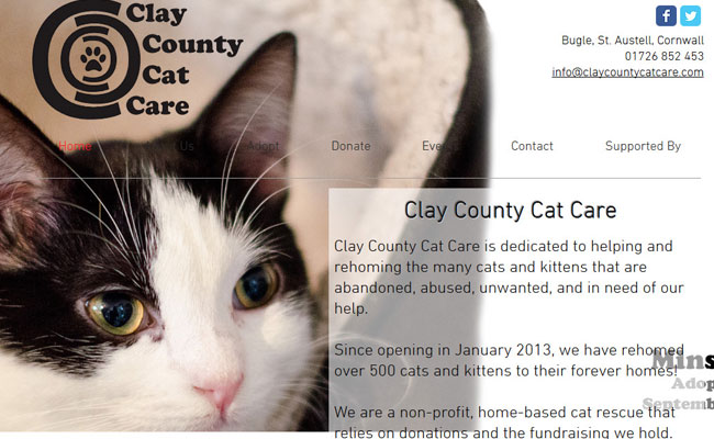 Clay County Cat Care - St. Austell