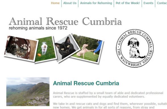 Animal Rescue Cumbria - Kendal