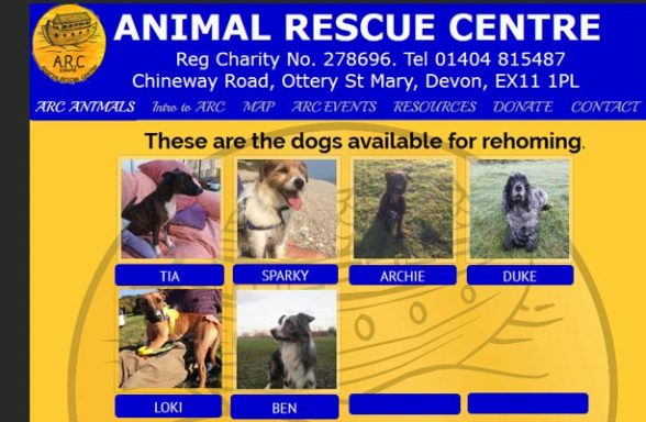 A R C Animal Rescue Centre - Ottery St. Mary