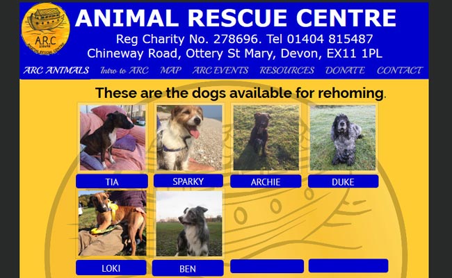 A R C Animal Rescue Centre - Ottery St. Mary