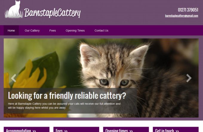 Barnstaple Cattery