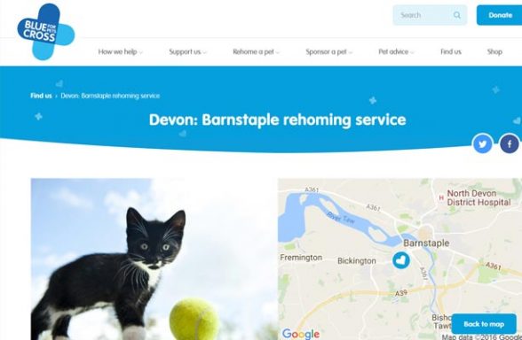 Blue Cross Rehoming Service - Barnstaple