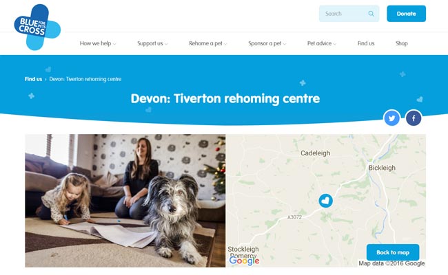 Blue Cross Rehoming Centre - Tiverton