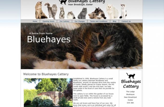 Bluehayes Cattery