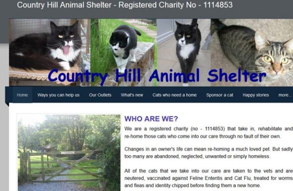 Country Hill Animal Shelter - Kingsbridge