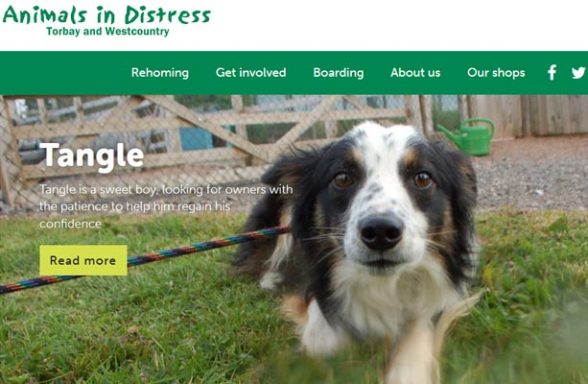 Animals in Distress - Newton Abbot