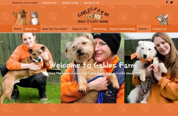 Gables Farm Dogs and Cats Home - Plymouth