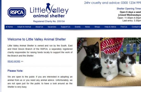 RSPCA Little Valley Animal Shelter - Exeter