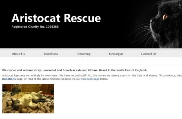 Aristocat Rescue - Newton Aycliffe