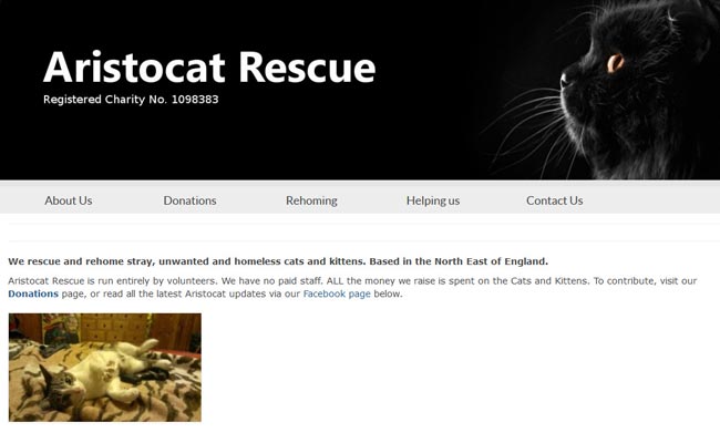 Aristocat Rescue - Newton Aycliffe