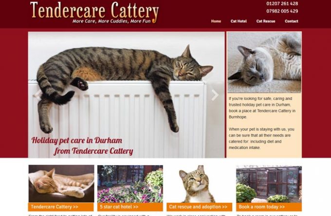 Tendercare Cattery