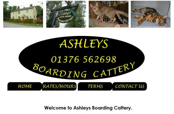 Ashleys Boarding Cattery