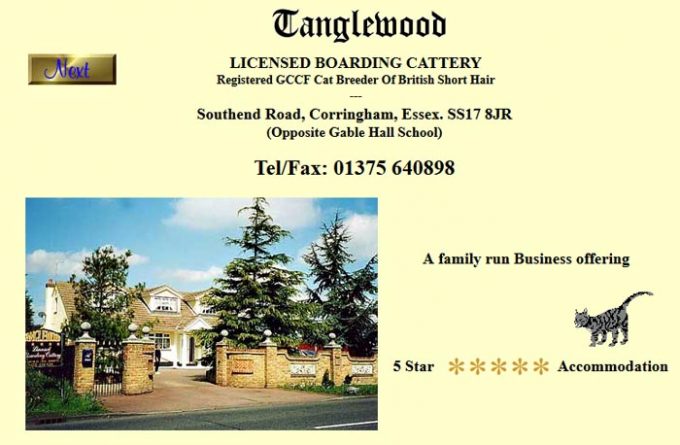 Tanglewood Boarding Cattery