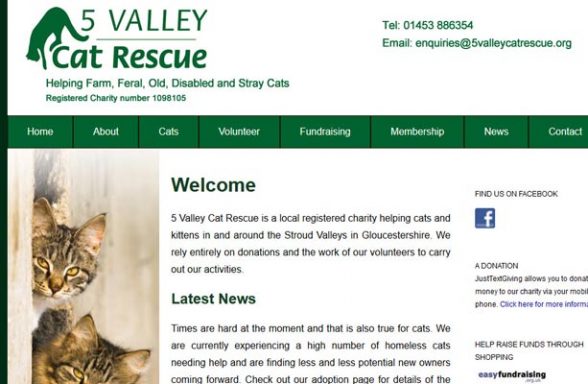 5 Valley Cat Rescue - Stroud
