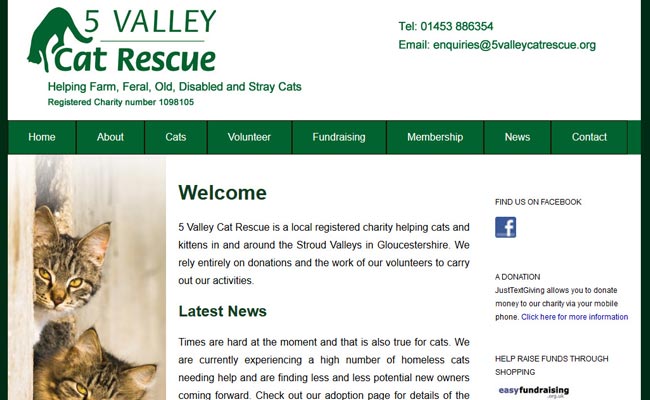 5 Valley Cat Rescue - Stroud