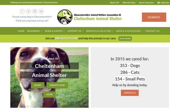 Cheltenham Animal Shelter - Cheltenham