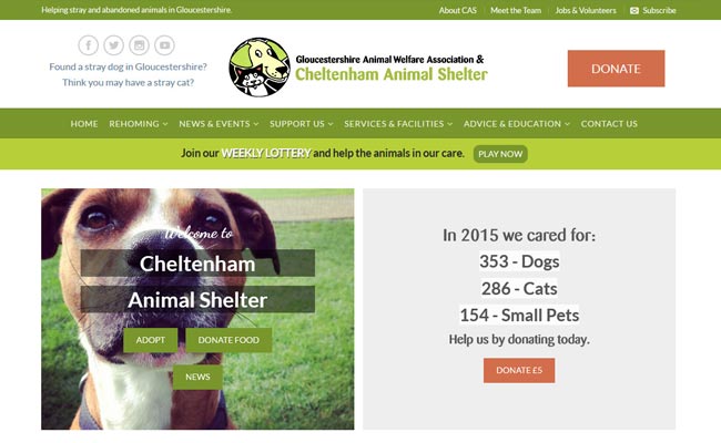 Cheltenham Animal Shelter - Cheltenham