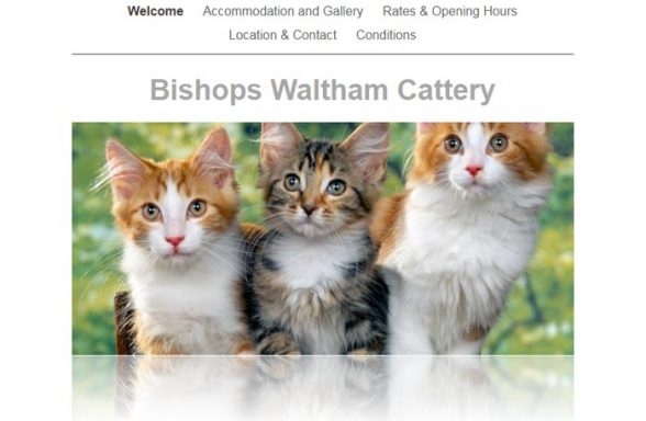 Bishops Waltham Cattery
