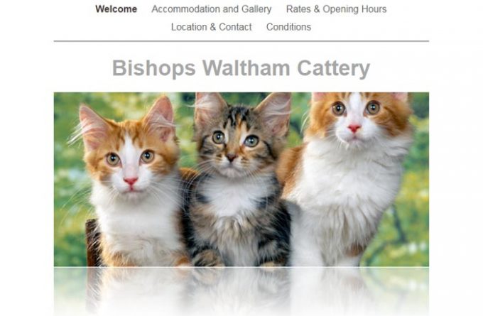 Bishops Waltham Cattery