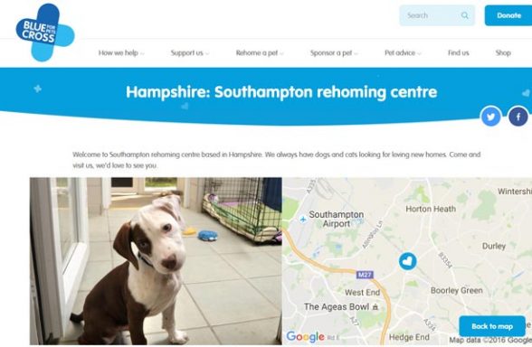 Blue Cross Rehoming Centre - Southampton