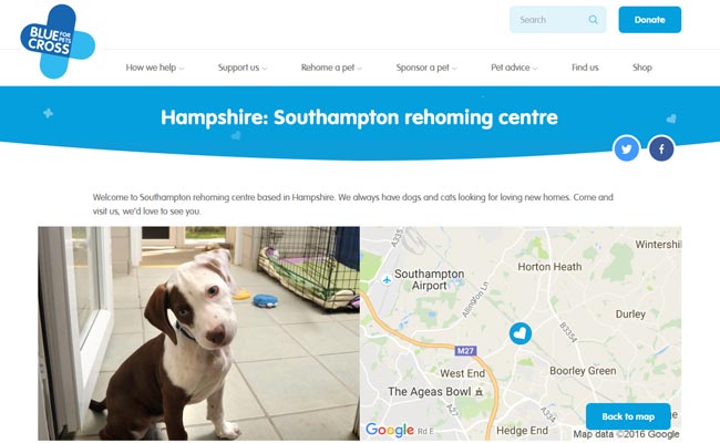 Blue Cross Rehoming Centre - Southampton