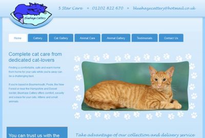 Dog Kennels Fareham Dog Kennels Fareham