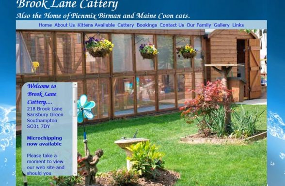 Brook Lane Cattery