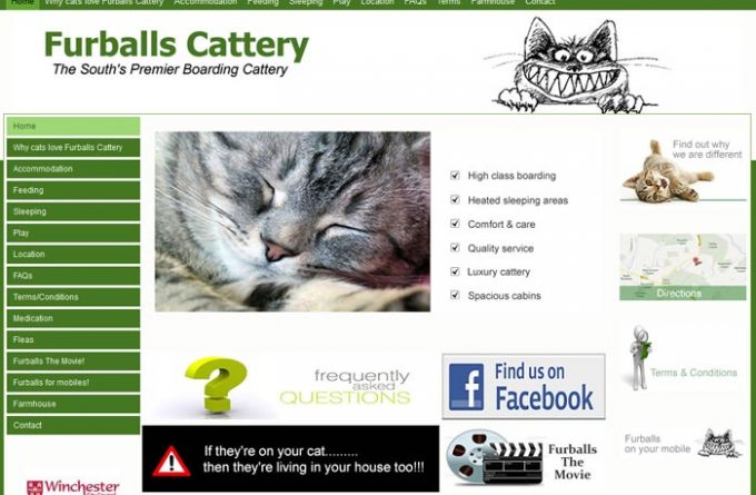 Furballs Cattery