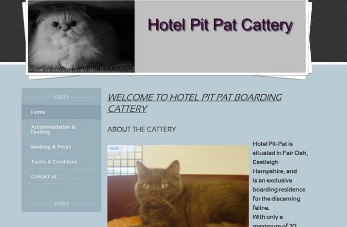 Hotel Pit-Pat Boarding Cattery