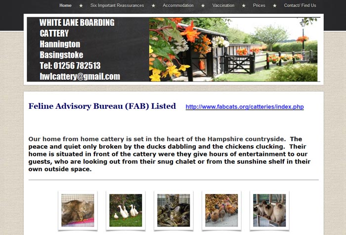 Cat Rescue London South East Cat Rescue London South East