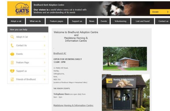 Cats Protection Adoption Centre - Sittingbourne