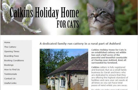 Catkins Holiday Home for Cats