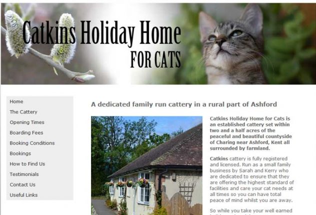 Catkins Holiday Home For Cats Cattery Catkins Holiday Home For Cats Cattery
