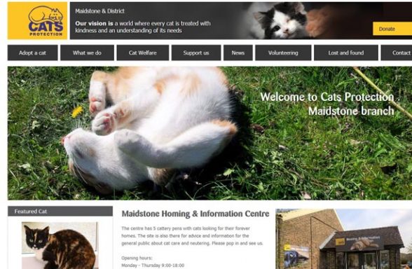 Cats Protection - Maidstone Centre - Maidstone