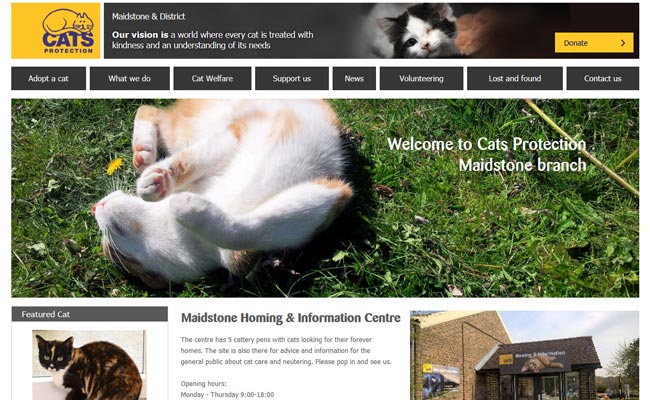 Cats Protection - Maidstone Centre - Maidstone