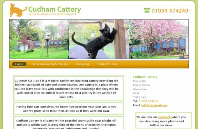 Cudham Cattery