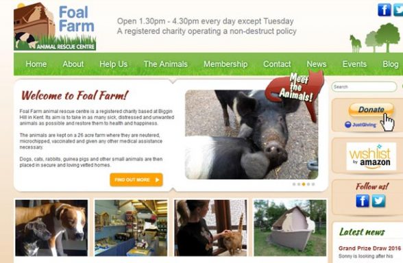 Foal Farm Rescue Centre - Biggin Hill
