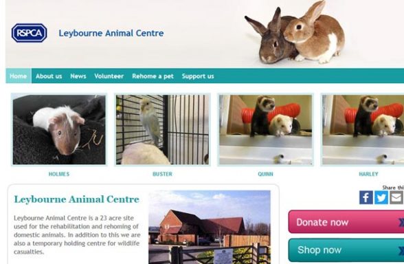 RSPCA Leybourne Animal Centre - West Malling